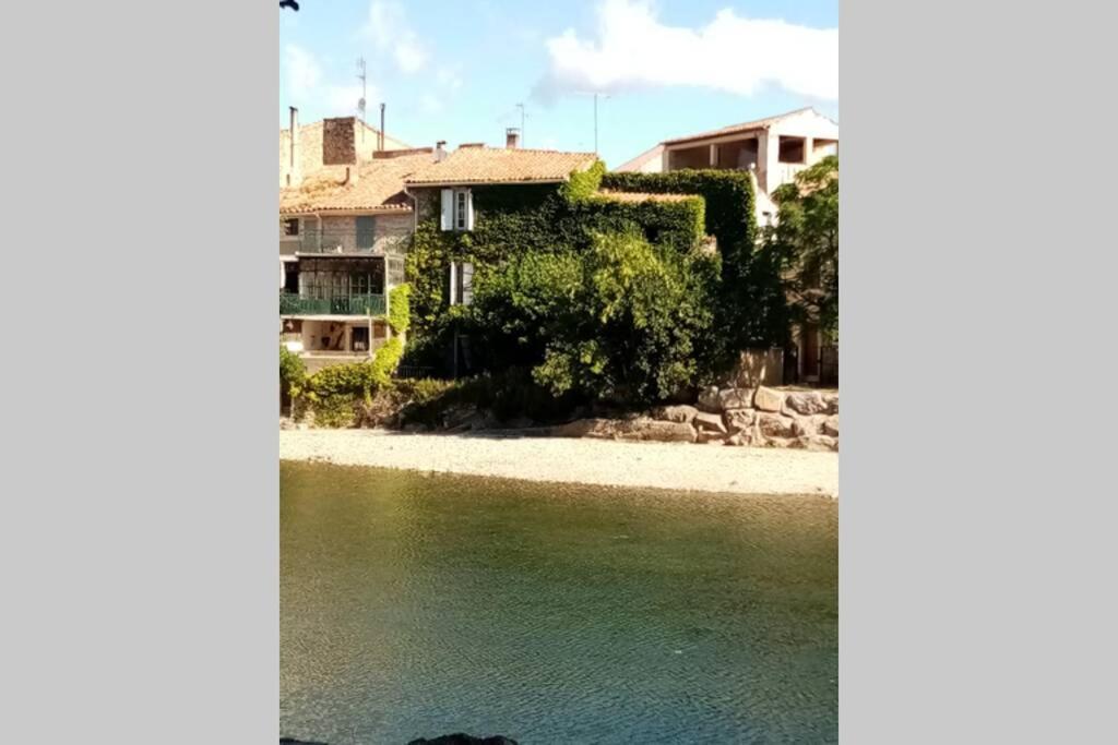 Character Filled House Overlooking The River Cesse Bize-Minervois Bagian luar foto